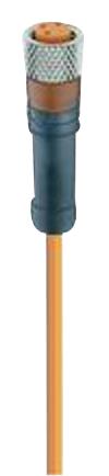RKMV 3-06/2 M LEAD,PVC, M8 SKT-FREE END, 3P, 2M LUMBERG AUTOMATION