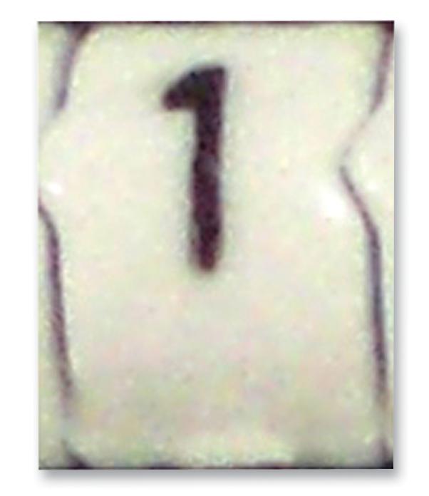 STD06W-1 CABLE MARKER, E, SIZE6, 1, PK30 RAYCHEM - TE CONNECTIVITY