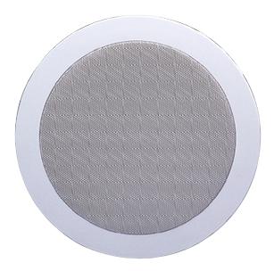 100.031 SPEAKER, CEILING SKYTRONIC